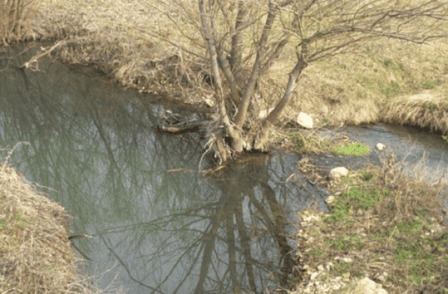 Близо 20 участъка по реките в областта се нуждаят от почистване на речните корита