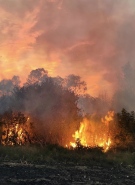 До 5 часа сутринта гасиха огъня край Драганово и Крушето, общо 23 пожара са потушавали на 8 октомври в областта