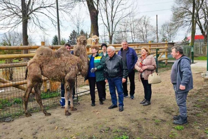 Двугърба камила е най-новият обитател на Зоокъта в Павликени
