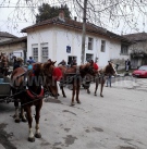Най-добрия ездач определиха в Добри дял