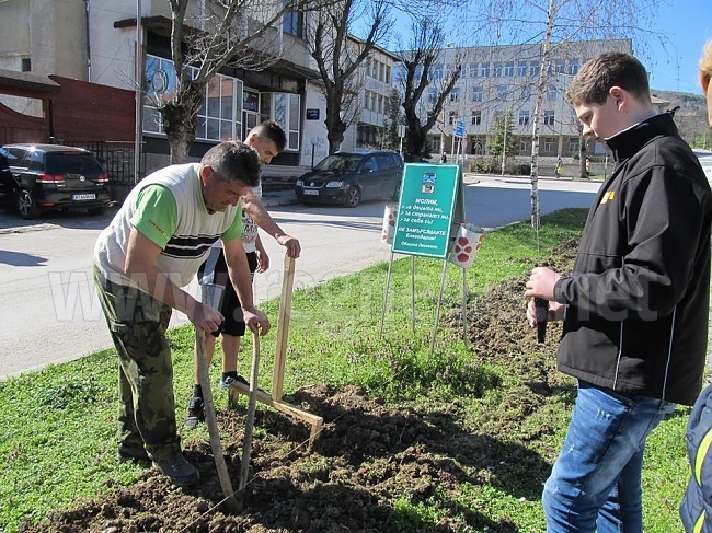 В Лясковец залесяваха в Седмицата на гората