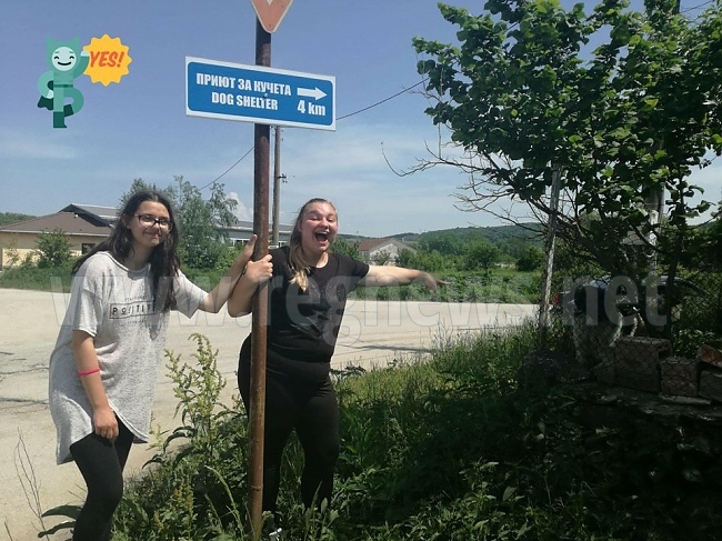 Ученици от СУ „Вела Благоева” улесниха достъпа до приюта за бездомни кучета 