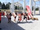 Със спортни състезания започна XIV издание на фестивала „Орел на Дунава“