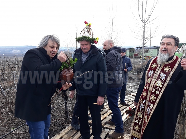 Деня на винарите и лозарите отпразнуваха и в Свищов 