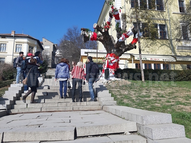 По случай Баба Марта мартенско дърво ще радва търновци през женския месец
