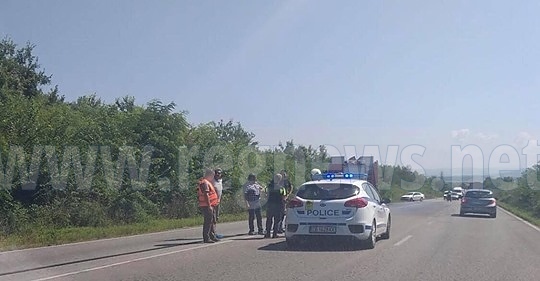 Кола и диво прасе се сблъскаха край Шереметя