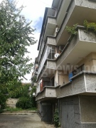 Блок на горнооряховската улица „Панайот Цвикев” обвинява съседка в котешки тормоз