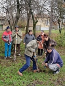 100 дръвчета засаждат във Върбица 