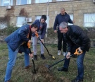 Ректорът на ВТУ и гости от Сърбия засадиха дръвчета в университета