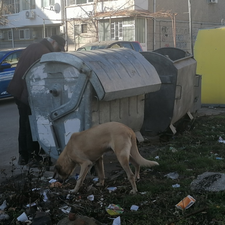 Правят общински приют за бездомни животни на мястото на полицейския кучкарник