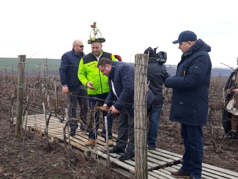 Водосвет за здраве и плодородие бе отслужен край Свищов за Трифон Зарезан