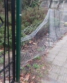Вандали вилняха в двора на училище във Велико Търново