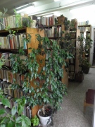 Библиотеката в Горна Оряховица приема отново читатели от 14 май