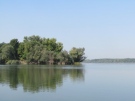 Кметът на Свищов забрани къпането в Дунав 