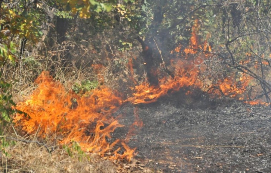 Десет пожара заради огън на открито са станали за ден в областта, мъж е загинал край Свищов