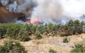 Доброволци и огнеборци предотвратиха разрастването на пожар над село Раювци 