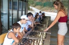 ШК „Асеневци” организира детски шахматен празник в Камчия