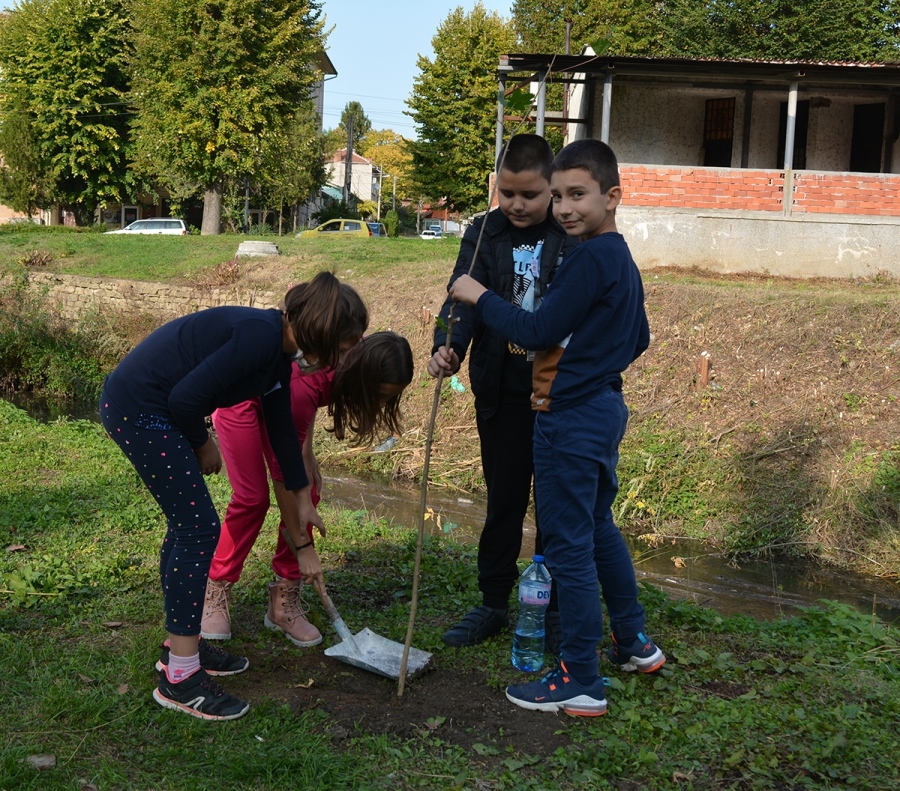 140 дръвчета засадиха възпитаниците за 140 години Основно училище „Св. Климент Охридски“ – Павликени