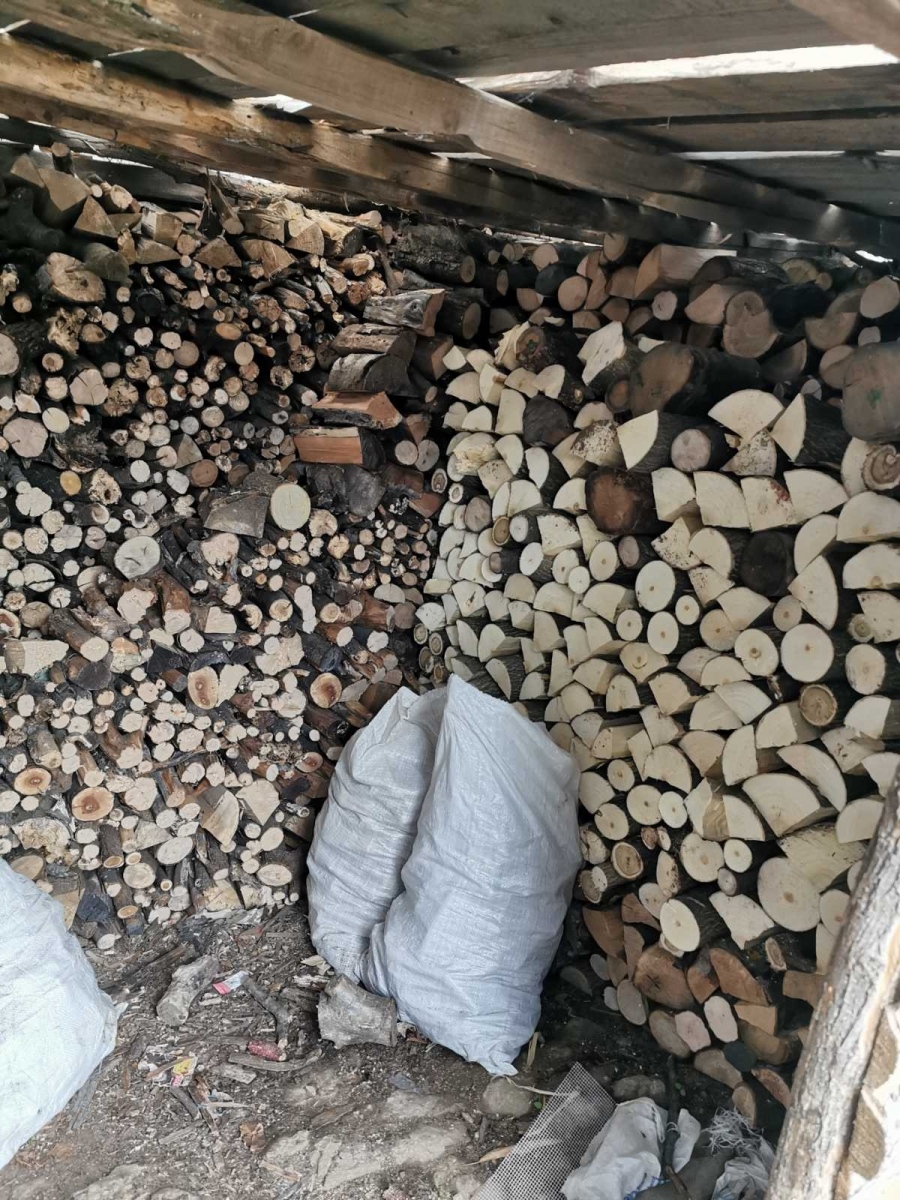 8 бързи производства за незаконно добита дървесина и 13 повдигнати обвинения при спецакция в Павликенско 
