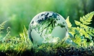ПУДООС одобри 9 проекта от община Горна Оряховица по националната кампания „Чиста околна среда“
