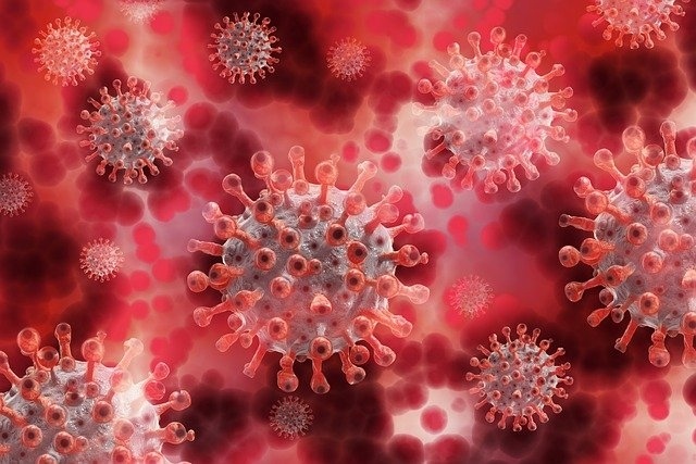 Заболяемостта от коронавирус в областта падна под 300 на 100 хил. души 