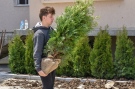 32 дръвчета засадиха ученици на СУ „Вичо Грънчаров”
