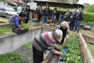Над 2000 цветя подари Фондация „Генерал Протогеров” на детски градини и кметства в Горнооряховско