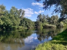 Зелено училище за деца и родители провеждат в Никюп