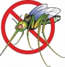 На 16 aвгуст в Горна Оряховица ще опушват срещу комари