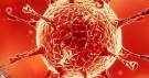 Област Велико Търново продължава да е в червената зона по заболяемост от коронавирус