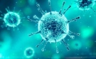 Коронавирусът в областта: 19 нови случаи и 7 починали за денонощие