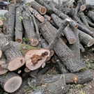 Криза за дърва в началото на отоплителния сезон