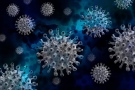 203 души от областта са в болници с коронавирус