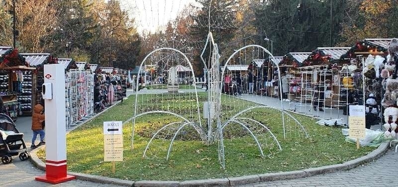 Градският ученически парламент във Велико Търново с 2 благотворителни каузи