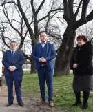 Министър Борислав Сандов обяви три вековни ясена в Горна Оряховица за защитени
