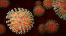 170 са новите случаи на коронавирус в областта, 14-дневната заболеваемост достигна 462 на 100 хил.