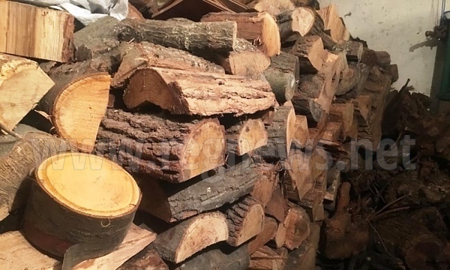 Община Елена предлага на жителите си дърва за огрев на преференциални цени