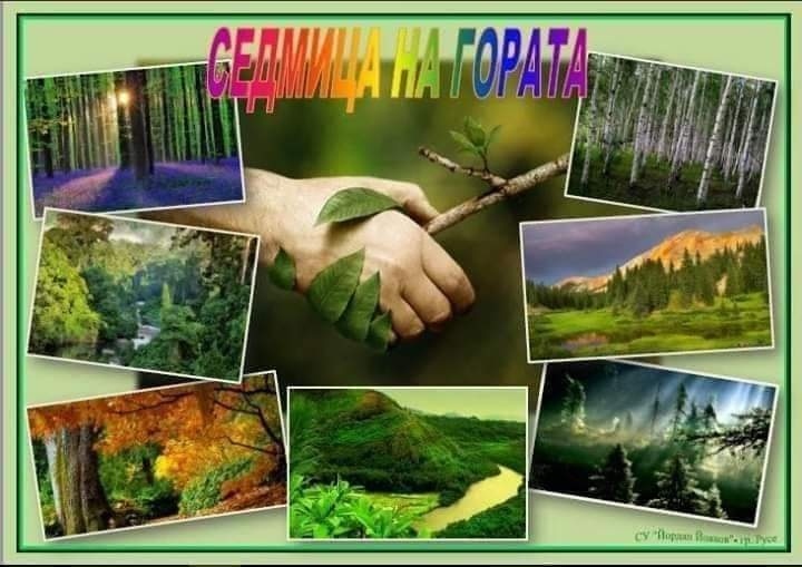 Горското в Свищов обяви два ученически конкурса за Седмицата на гората
