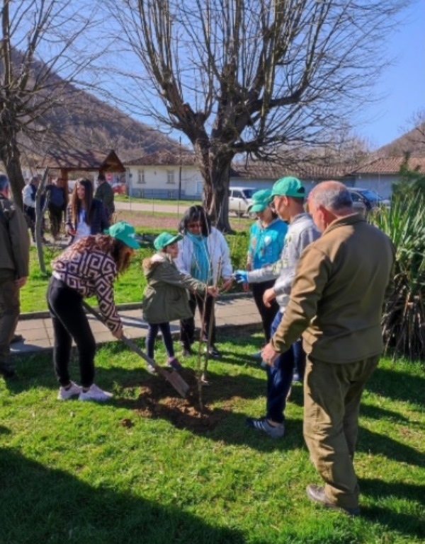 Деца от ЦНСТ „Вяра, Надежда и Любов“ в Златарица засадиха широколистни дръвчета в централната част на града