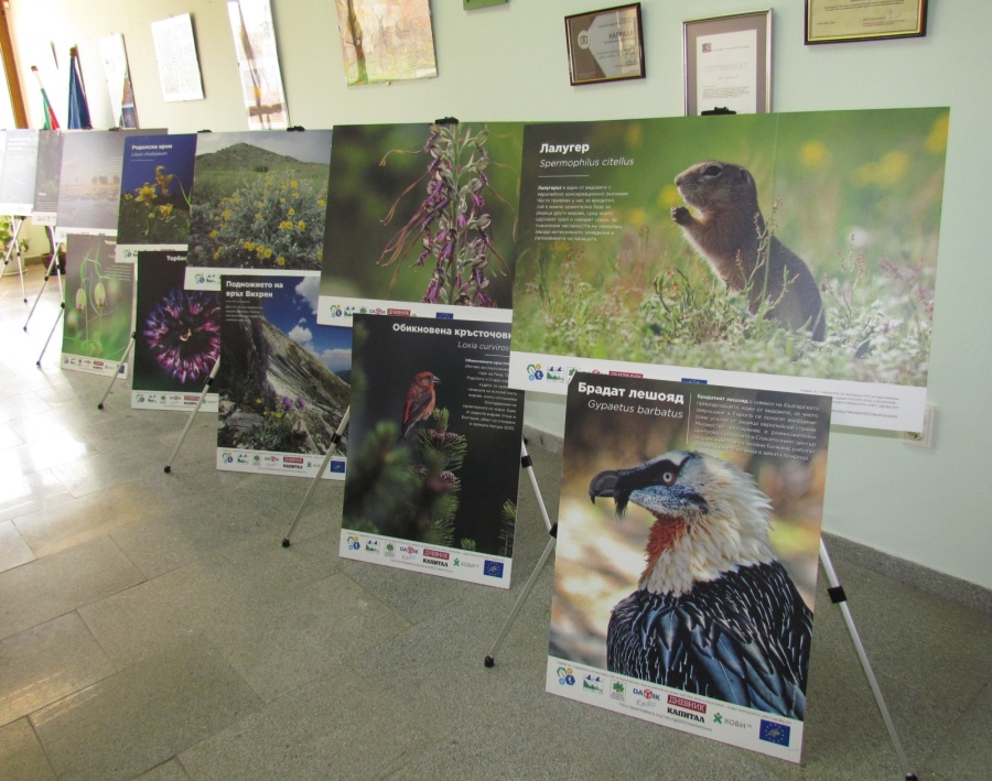 Изложба в РИОСВ във Велико Търново представя видове и местообитания с европейско консервационно значение в България