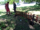 Поставят декоративна ограда около трите защитени вековни дървета в Горна Оряховица