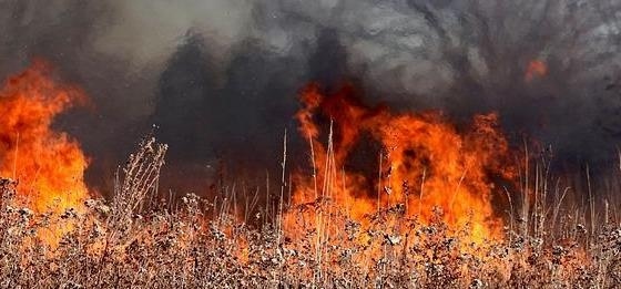 Комбайн се запали в нива, унищожени са 60 дка посеви