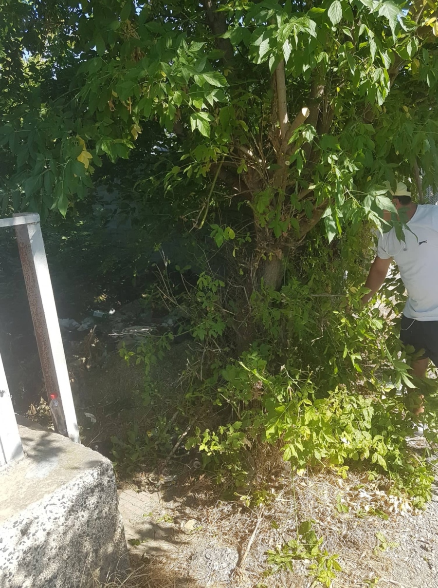 Почистват растителността по ул. „Македония“ в Горна Оряховица