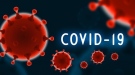 Заболяемостта от коронавирус в областта намаля