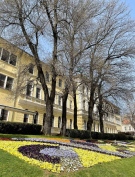 Велико Търново е по-зелен град с близо 900 засадени дървета и храсти