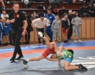 147 млади борци от 25 клуба в България, Турция и Северна Македония спорят за купата „Никола Петров” в Горна Оряховица