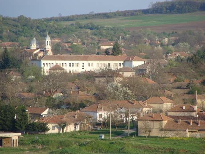 На коледен базар в Ново село събират средства за ремонт на читалището