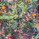 В Елена ще прилагат френски опит за намаляване на битовите отпадъци чрез компостиране