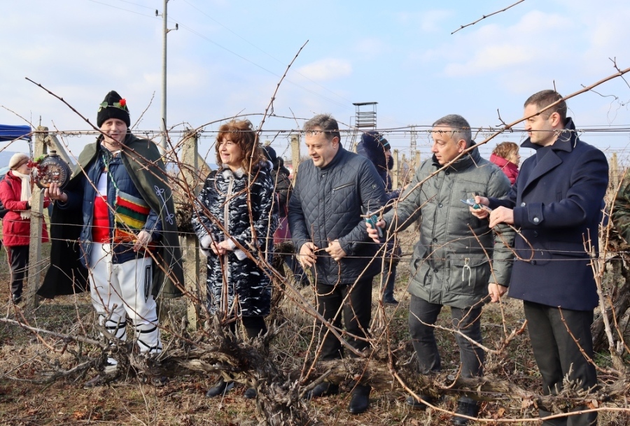 В Лясковец зарязаха лозята за здраве и берекет и се веселиха с Капанския ансамбъл