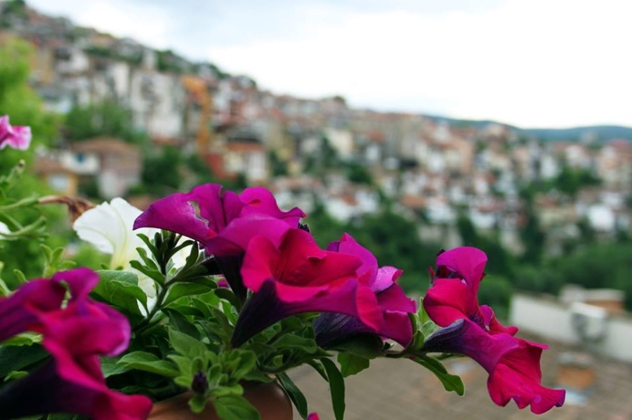 Община Велико Търново кани жителите и гостите на града да празнуват заедно Цветница